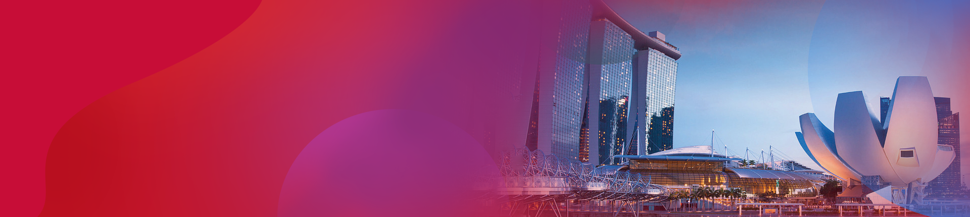 banner5.png